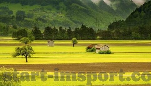 德州扑克 枪口-德州扑克中的枪口位置,策略与心理博弈
