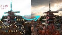 历届世界杯冠军选手-历届世界杯冠军选手,荣耀与传承的交响曲