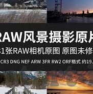森林舞会之幸运六狮-森林舞会之幸运六狮,自然与文化的交响曲